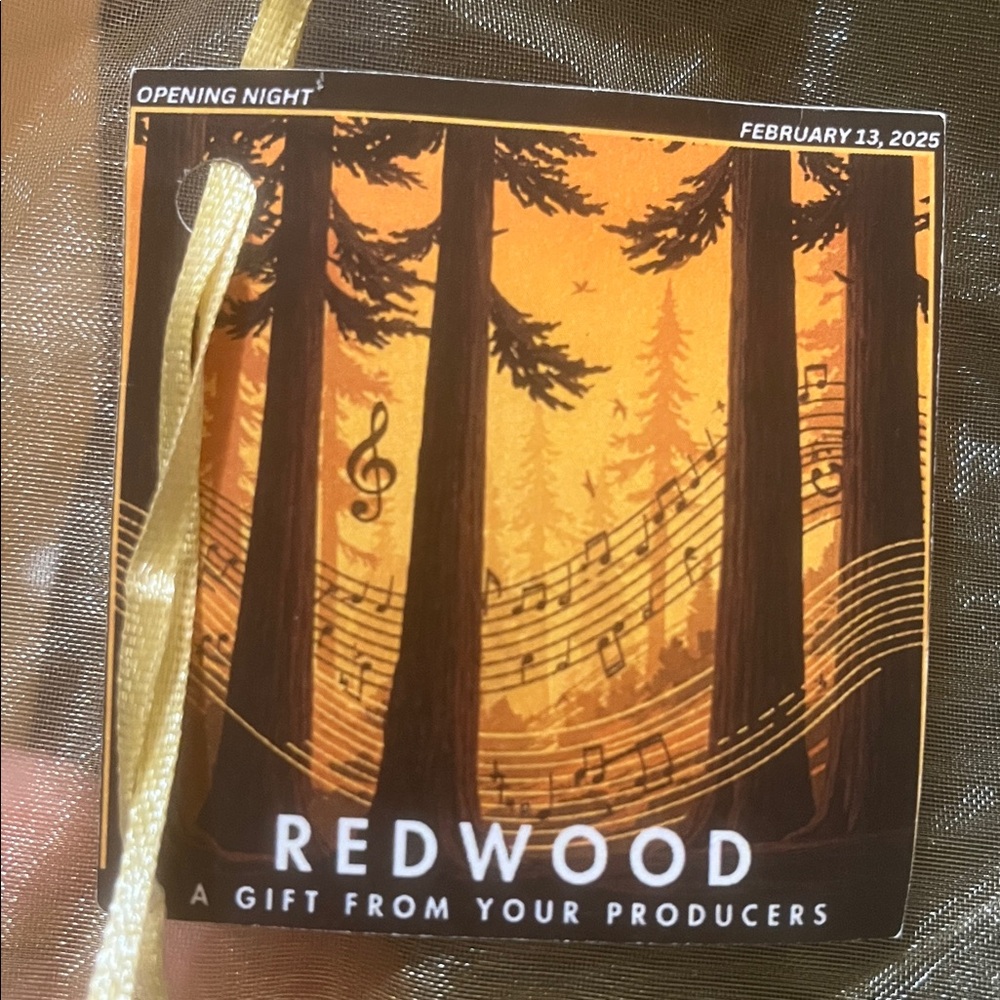Redwood Broadway Beanie 2025 NEW Idina Menzel from Opening Night - Picture 3 of 8
